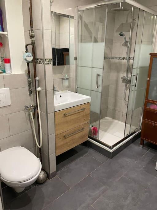 Appartement Proche Metro Villejuif La Екстер'єр фото